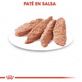 Royal Canin Sterilised comida húmeda en paté para gato adulto...