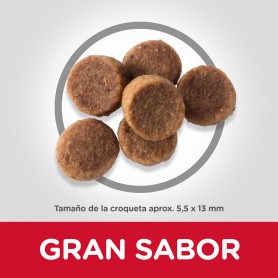 Hill's Science Plan Puppy Large Breed alimento seco perro sabor pollo