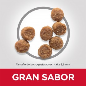 Hill's Science Plan Puppy Small & Miniature comida seca sabor pollo