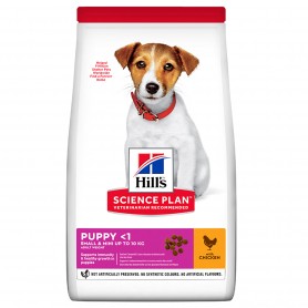 Hill's Science Plan Puppy Small & Miniature comida seca sabor pollo