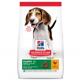Hill's Science Plan Puppy Medium alimento seco perro sabor pollo
