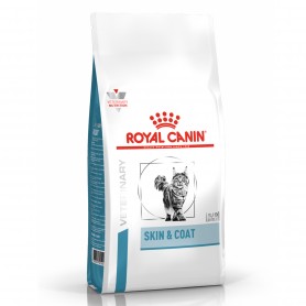 Royal Canin Skin & Coat Alimento Seco para Gatos
