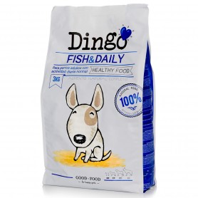 Dingo Fish & Daily