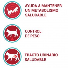Purina One Bifensis Esterilizado Rico en Pollo
