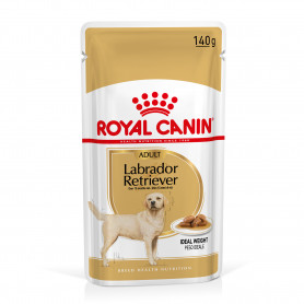 Royal Canin Labrador comida húmeda para perro adulto de raza 