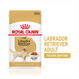 Royal Canin Labrador comida húmeda para perro adulto de raza 