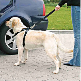 Arnés con cinturón de Seguridad