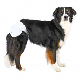 Pañales ultra absorbentes para perro, hembra