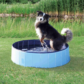 Piscina para perros