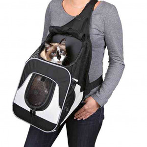 Transporte gato