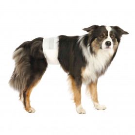 Pañales para perro Macho 12 uds