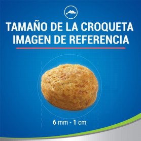 Purina Dentalife Daily Oral Care sabor Salmón