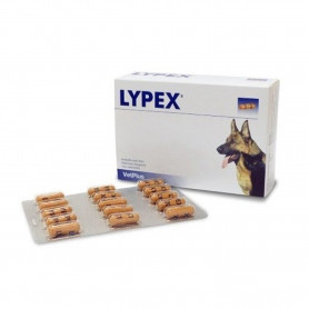 Lypex