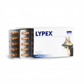 Lypex