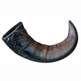 Asta de búfalo masticable