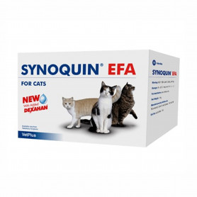 Synoquin Efa Gato