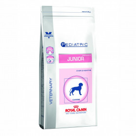 Royal Canin Pediatric Junior