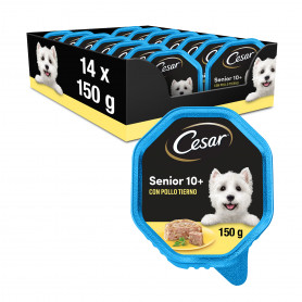 César Senior 