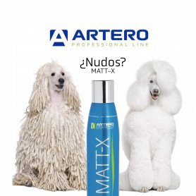 Artero MATT-X