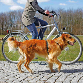Ramal bicicleta/footing