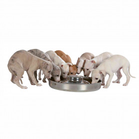 Comedero para cachorros