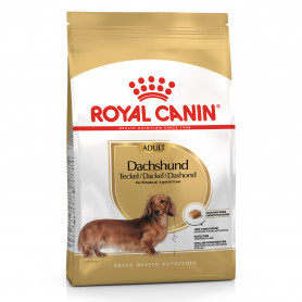Royal Canin Dachsund Adult pienso para perro adulto teckel