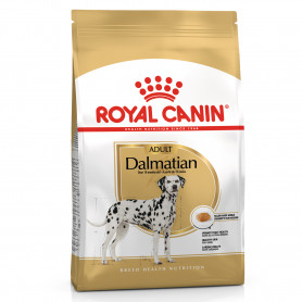 Royal Canin Dálmata pienso para perro adulto 