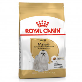 Royal Canin Maltese Adult pienso para perro adulto Maltés