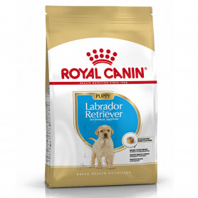 Royal Canin Labrador Retriever Puppy pienso para cachorro de raza 