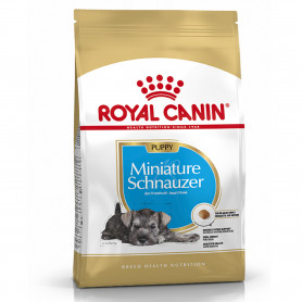 Royal Canin Miniature Schnauzer puppy pienso para cachorro de raza