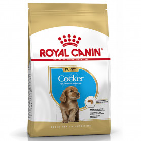 Royal Canin Cocker puppy pienso para cachorro de raza 