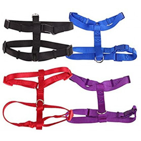Outlet Arnés para perros nobleza talla S