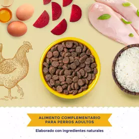 Boske Adult Chicken & Turkey Low Grain Pienso Natural para Perro