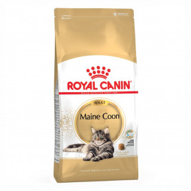 Royal Canin Maine Coon pienso para gato adulto de raza