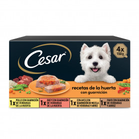 Cesar Receta de la Huerta Selección