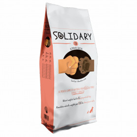 Dingo Solidary 26 Alimento Completo para Perros Jóvenes y Adultos