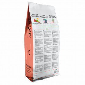 Dingo Solidary 26 Alimento Completo para Perros Jóvenes y Adultos
