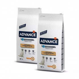 Advance Labrador