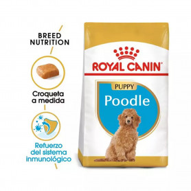 Royal Canin Poodle Puppy pienso para cachorro caniche