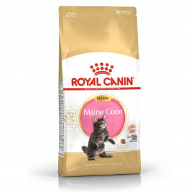 Royal Canin Kitten Maine Coon pienso para gatito de raza