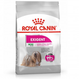 Royal Canin Mini Exigent pienso para perro adulto pequeño con...