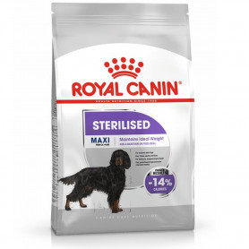 Royal Canin Maxi Sterilised pienso para perro adulto esterilizado...