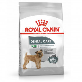 Royal Canin Mini Dental Care pienso para perro adulto pequeño con...