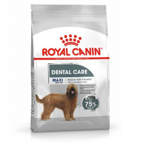 Royal Canin Maxi Dental Care pienso para perro adulto grande con...