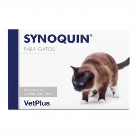 Synoquin Efa Gato