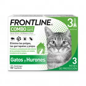 Frontline