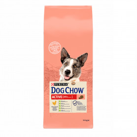 Dog Chow Active Pollo
