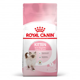Royal Canin Kitten pienso para gatitos