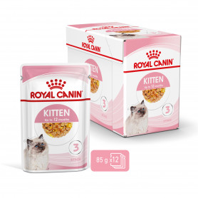 Royal Canin Kitten comida húmeda en gelatina para gatitos