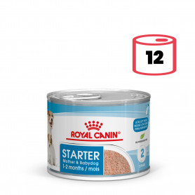 Royal Canin Starter Mousse comida húmeda para cachorro de primera edad